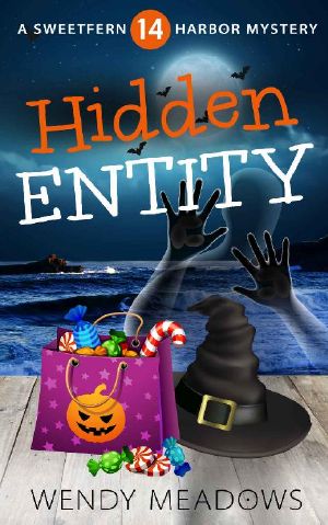 [Sweetfern Harbor Mystery 14] • Hidden Entity